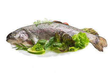 Fresh raw rainbow trout