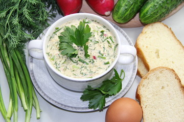 Russian cold soup - okroshka