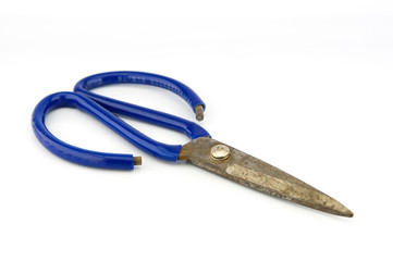 Old scissors on white background