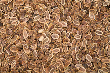 Background of dill seeds © Sergey Chayko