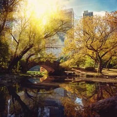 Papier Peint photo Central Park Central Park pond and bridge. New York, USA.