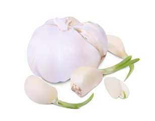 Garlic
