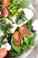 Salat mit Büffel Mozzarella
