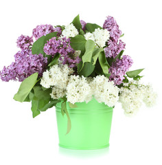 Beautiful lilac flowers in bucket, isolated on white