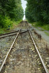 Obraz premium Merging Railroad Tracks