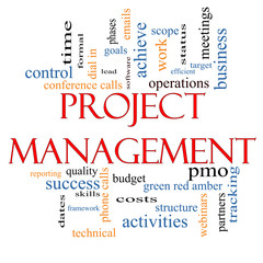 Project Management Word Cloud Concept