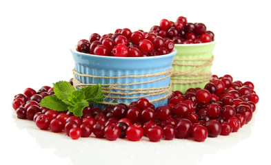 Ripe red cranberries in bowls, isolated on white.