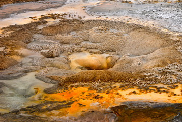 Geyser in Yellowstone National Park