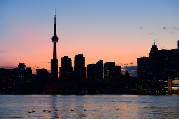Obraz premium Toronto silhouette