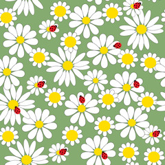 Seamless pattern with daisies and ladybirds - 53467893