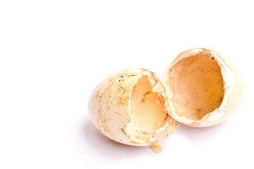 Eggshell on a white background
