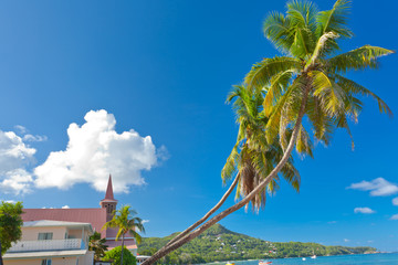 Fototapeta na wymiar cocotiers penchés, Anse Royale, Mahé, Seychelles