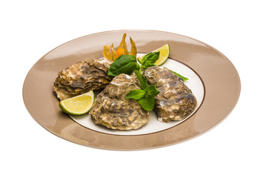 Fresh oyster
