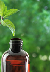 Drop falling of mint leaf in an essential oil bottle