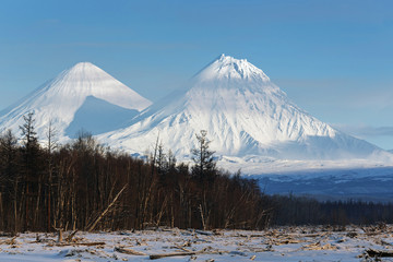 Landscape of Kamchatka: Klyuchevskoy Volcano and Kamen Volcano