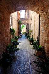 view of spello town