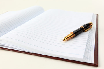Notebook and pen.