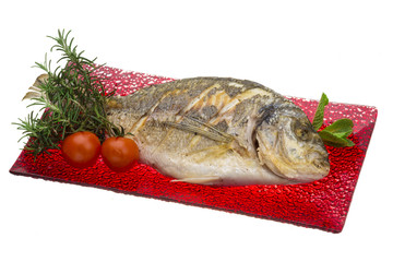 Dorado grilled