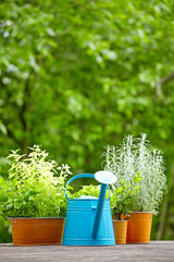 Outdoor gardening tools