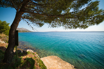 Fototapeta na wymiar Seashore in Croatia