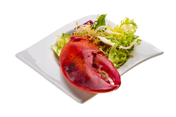 Lobster leg with salad