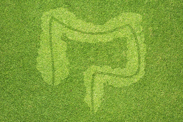 Intestine icon on green grass texture and background - 53477414