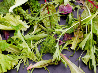 erntefrischer Mischsalat