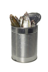fresh fishes  in tin