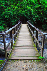 Obraz premium Bridge over the canal in the forest