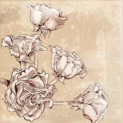 Papier Peint photo Fleurs abstraites Des roses