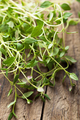 fresh thyme on wooden background