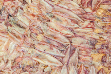 Obraz na płótnie Canvas Dried squid was sale in Thailand for background use