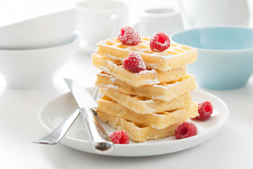 waffle with raspberry and icing sugar