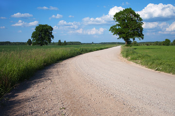 Fototapeta na wymiar Rural road.