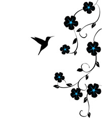 vector hummingbird © peony