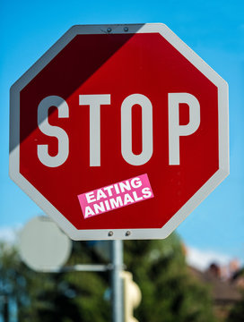 stop eating animals