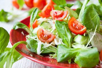 fresh summer vegetable salad