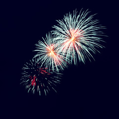 Colorful fireworks on the dark sky background