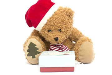 Teddy bear with gift box isolated on white