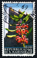 Postage stamp San Marino 1967 Purple Nettle and View of Mt. Tita