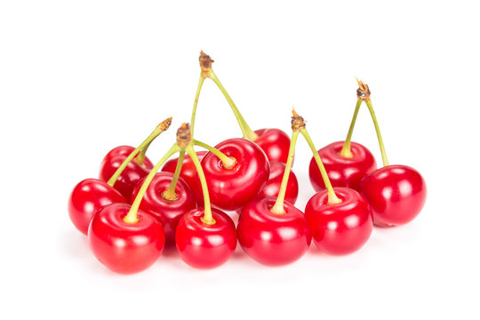 Ripe cherries on a bunch