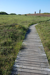 Obraz premium wooden path in the moor