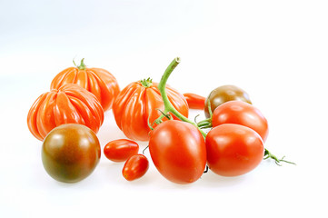 Tomatensorten