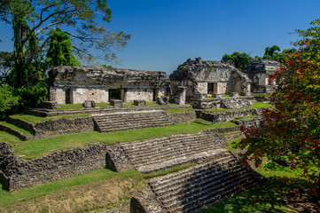 Palenque : plate-forme nord 3 temples 2