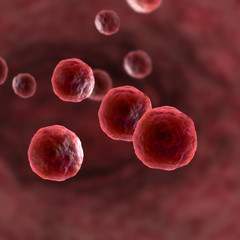 Microscopic view of Human Cells