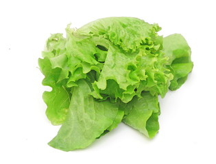 Leaves of a green lettuce on the white background