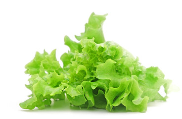 lettuce salad on a white background