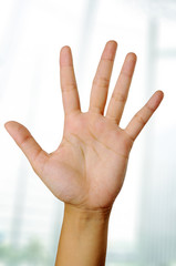 Hand Gesture