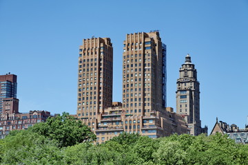 buildings et arbres verts. New York