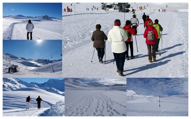 nordic walking